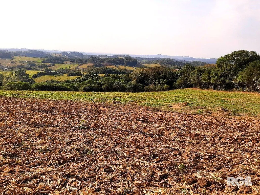 Imagem Area de terras cultivaveis