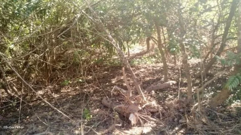 Imagem Terreno para Venda em Socorro / SP no bairro Camanducaia do Meio