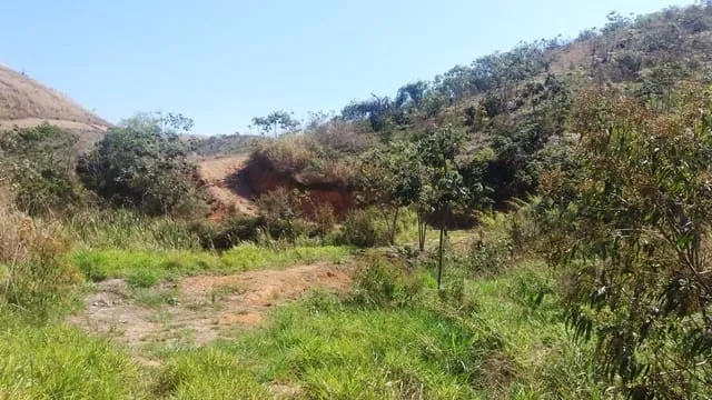 Imagem Chácara à venda Zona Rural, Lavrinhas - SP
