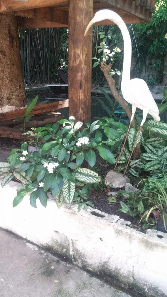 Imagem Casa à venda 9 Quartos, 6 Suites, 4 Vagas, 1000M², Bosque, Pindamonhangaba - SP