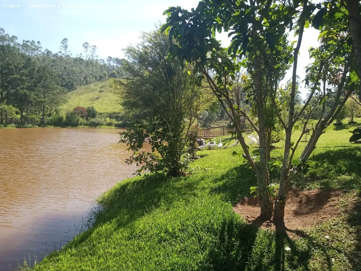 Imagem Sítio para Venda em Santa Isabel, Santa Isabel, 4 dormitórios, 2 suítes, 2 banheiros, 2 vagas