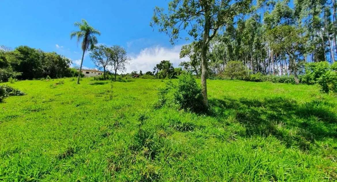 Foto do imóvel Sítio com 36.000 m² Natureza com conforto e linda vista? Itapeva/SP em Vila Rica, ITAPEVA - SP