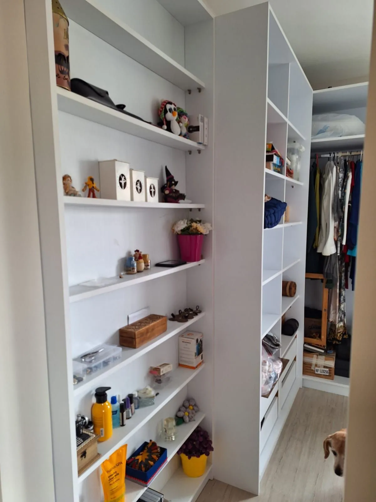 Imagem Apartamento de três quartos, suíte e uma vaga de garagem em condomínio com infra