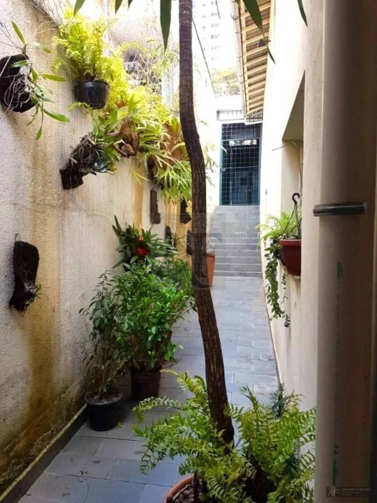 Imagem Casa à venda em Jardim Taquaral, São Paulo