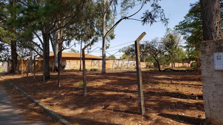 Imagem Terreno Padrão