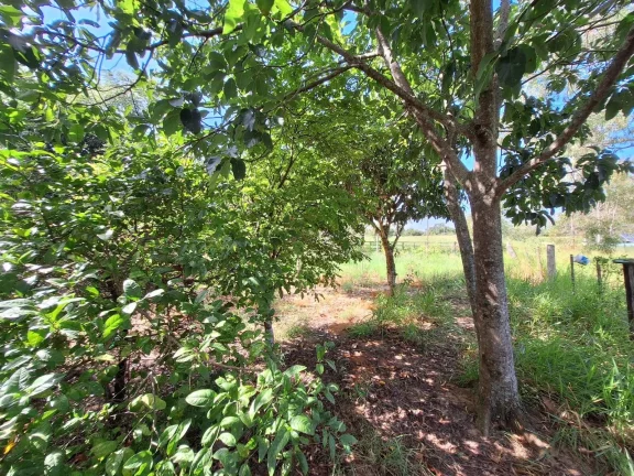 Imagem Horzem Imóveis vende sítio com 10.500m² em Boa Vista – Viamão/RS