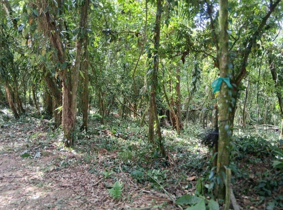 Imagem Excelente oportunidade em Ubatuba - Bairro da Figueira!