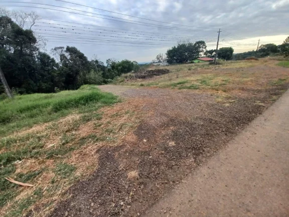 Imagem Terreno para Venda em Concórdia, Rodovia