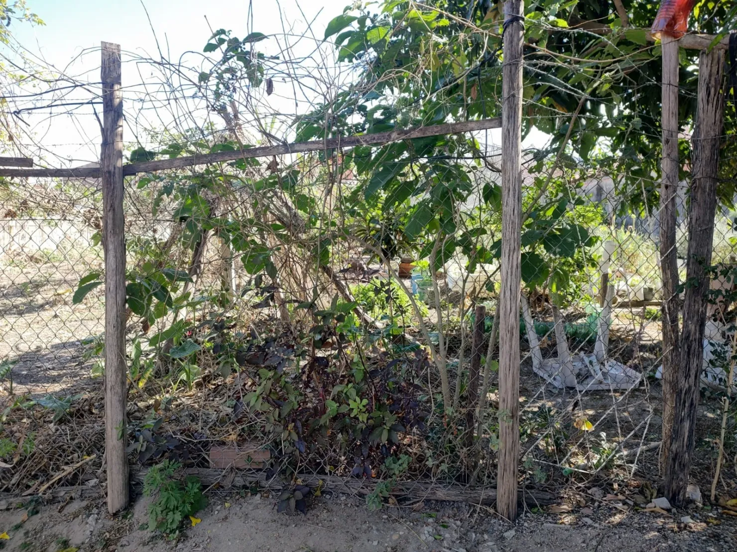 Imagem Terreno à venda 300M², Vila Bela, Taubaté - SP