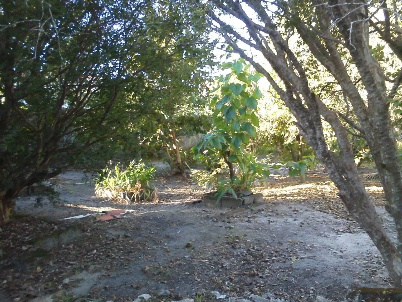 Imagem Terreno à venda 2 Quartos, 2 Vagas, 1700M², Loteamento Residencial Andrade, Pindamonhangaba - SP