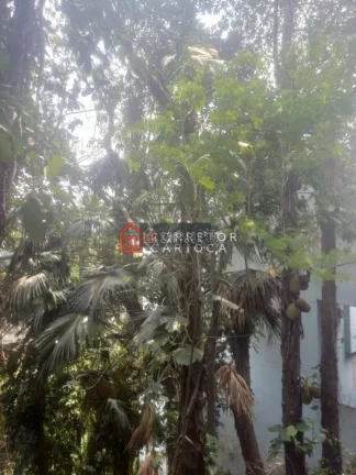 Imagem Vendo Terreno em Santa Teresa R$700.000,00