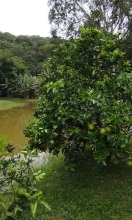 Imagem Sítio para Venda em Nova Friburgo, Amparo, 2 dormitórios, 1 suíte, 3 banheiros, 5 vagas