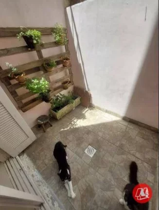 Imagem JK próximo ao Clinicas com pátio.
