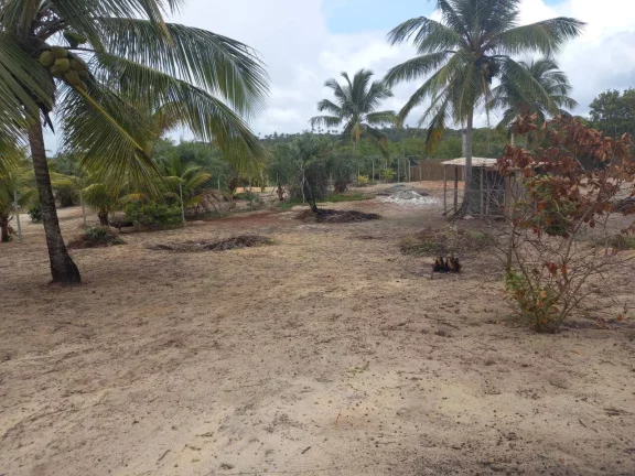 Imagem TERRENO FRENTE MAR - MOGIQUIÇABA
