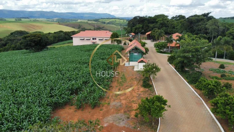 Imagem Fazenda, 3 Casas, 171 hectares, criação Gado Nelore e Lavoura, Sul de MG.