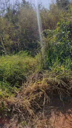 Imagem Bauru/SP, Vale do Igapó, Terreno 1000m², 12x40m², plano, escriturado