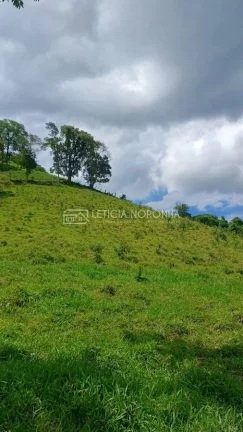 Imagem Terreno à Venda