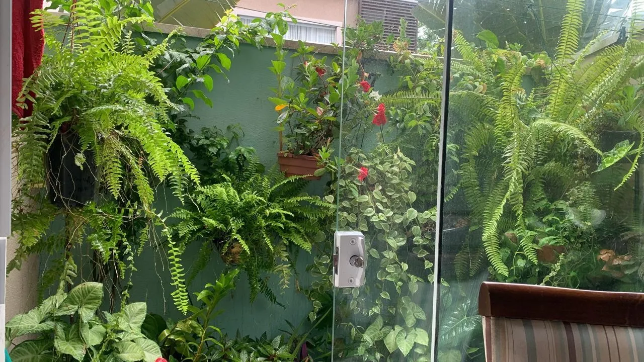 Imagem Apartamento com Terraço para Locação em Camboriú, Rio Pequeno, 2 dormitórios, 1 banheiro, 1 vaga