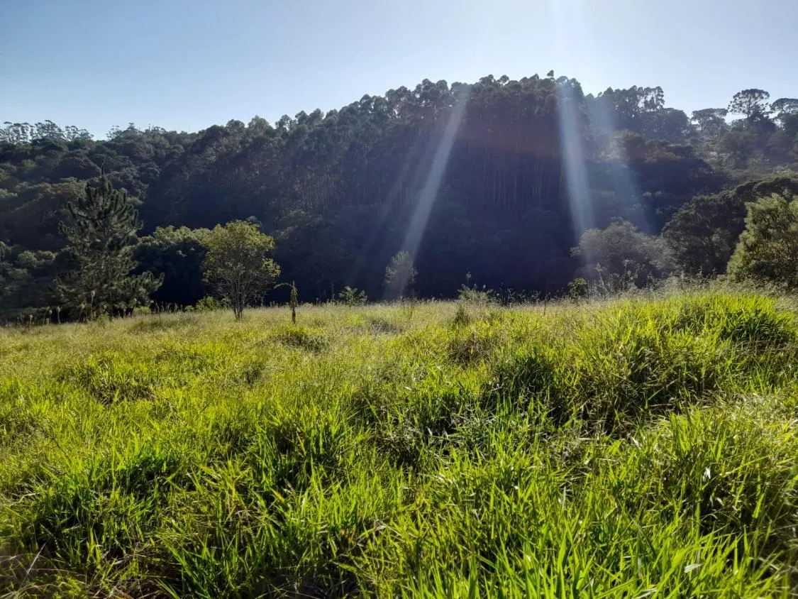 Foto do imóvel TERRENO - BAIRRO DA RESSACA - IBIUNA em RODOVIA BUNJIRO NAKAO - KM 81