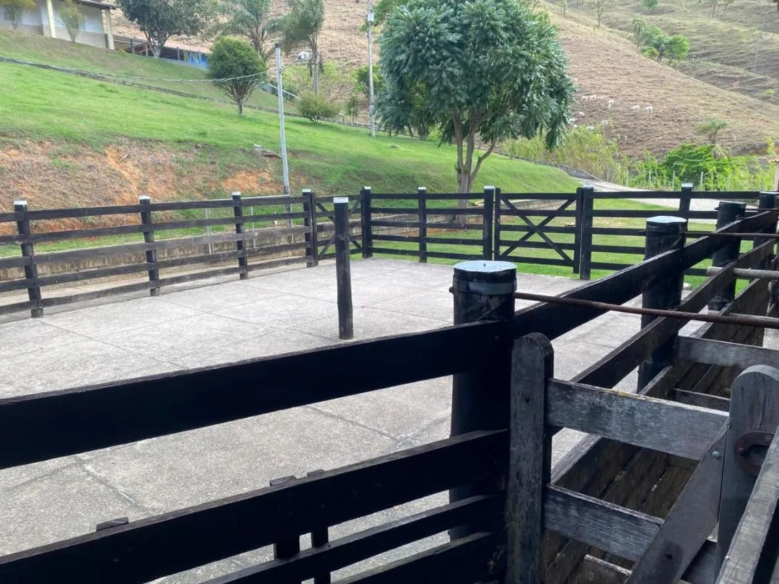 Imagem FAZENDA À VENDA Antônio Dias 48 hectares de terra