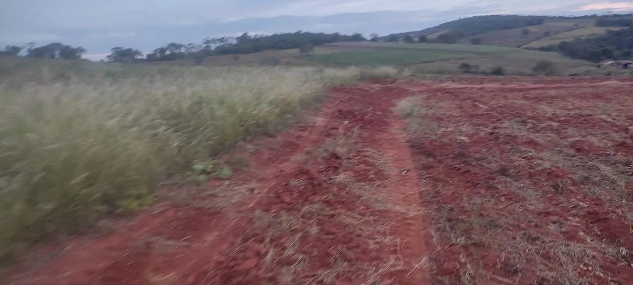 Imagem FAZENDA À VENDA - CRUCILÂNDIA (MG) 120 hectares de área total