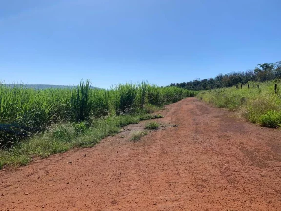 Imagem Fazenda 72 alqueires Patrocínio Paulista!!!