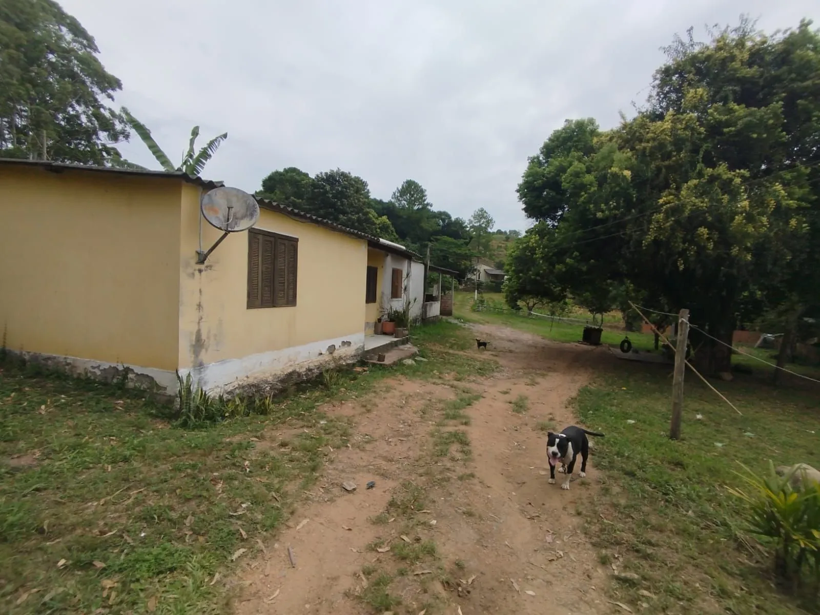 Imagem Chácara no bairro Restinga