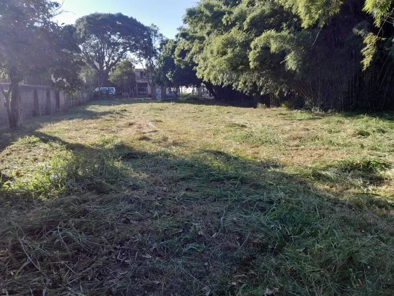 Imagem Terreno em Camaquã
