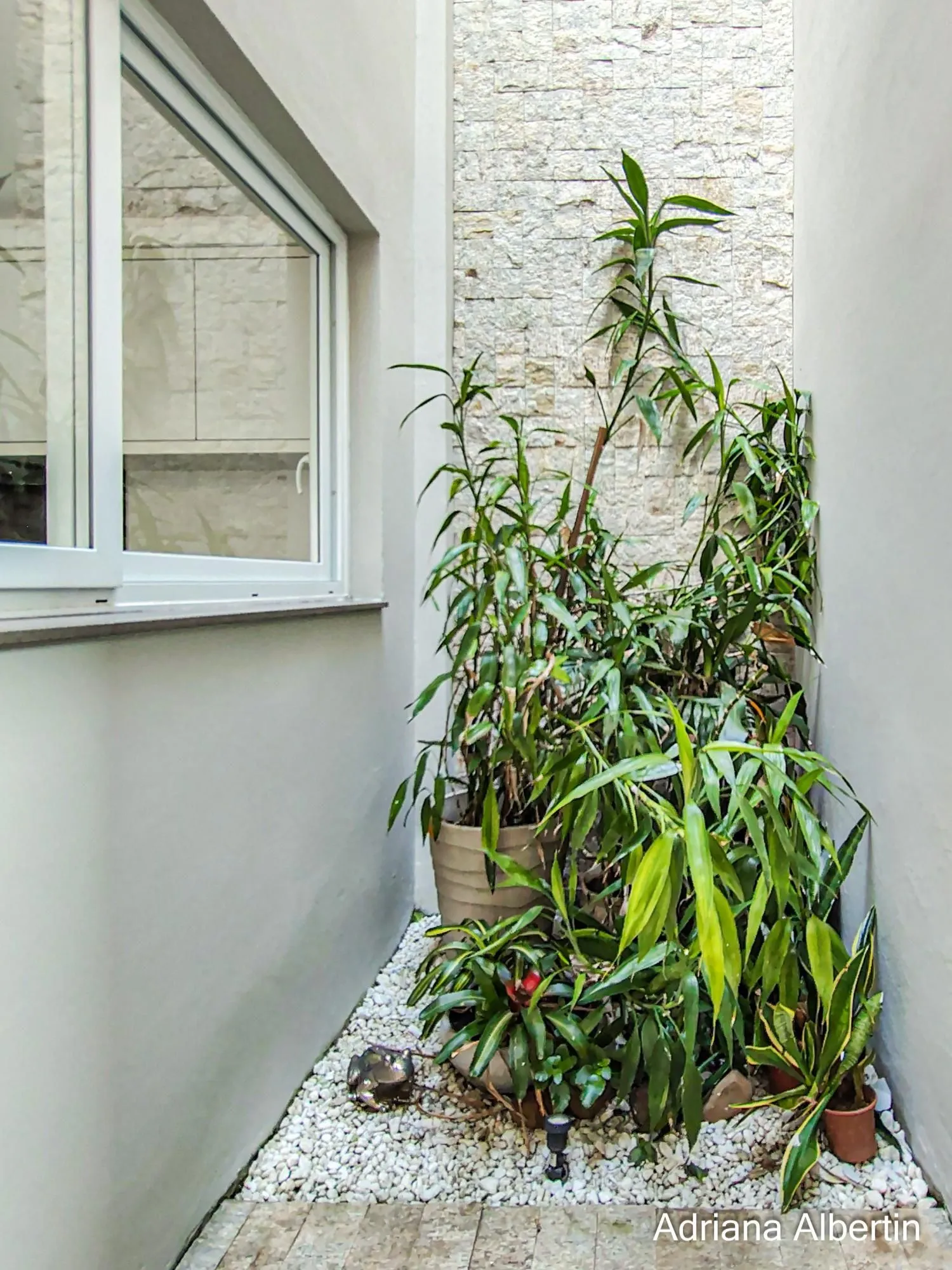 Imagem ALPHAVILLE PORTO ALEGRE | CASA COM FUNDOS PARA APP E ÁREA EXTERNA COMPLETA