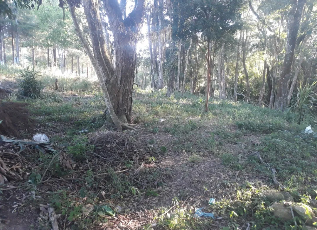 Imagem Oportuinidade Única!! Terreno em Piedade.
