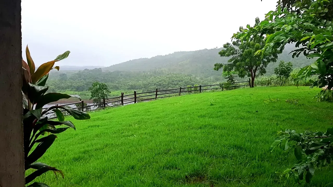 Imagem Fazenda à Venda, 600 HA em Floresta do Araguaia - Floresta do Araguaia