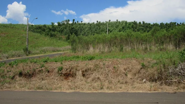 Imagem Terreno para Venda em Concórdia, Rural