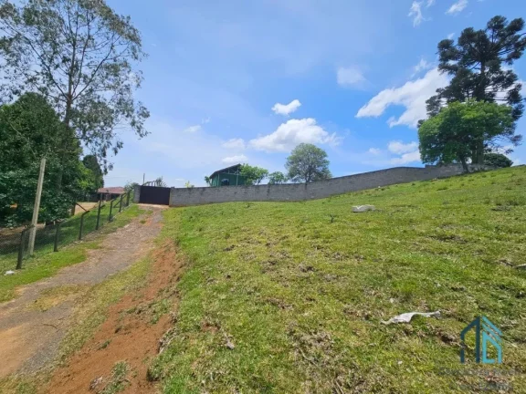 Imagem Chácara 04 casas, um comércio, tanque de peixes, ótimo investimento em QUATRO BARRAS PR