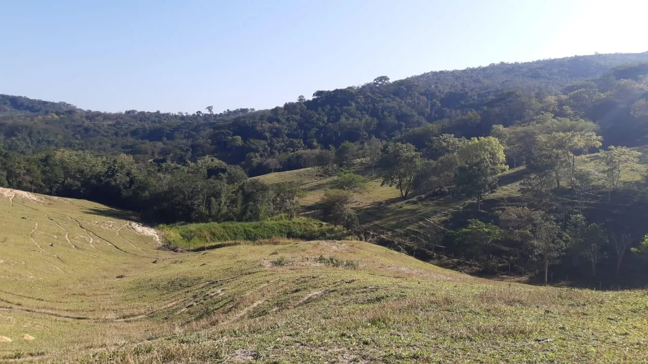 Imagem FAZENDA À VENDA - SÃO GONÇALO DO PARÁ 120 hectares de terra