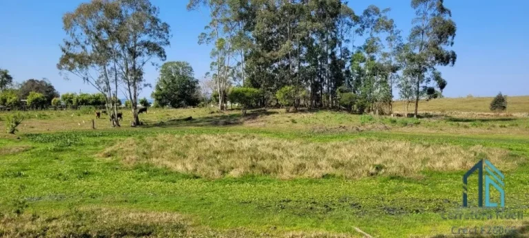 Imagem Chácara a venda 12.1 hectares, 02 casas e barracão, na água amarela em Chapecó - SC