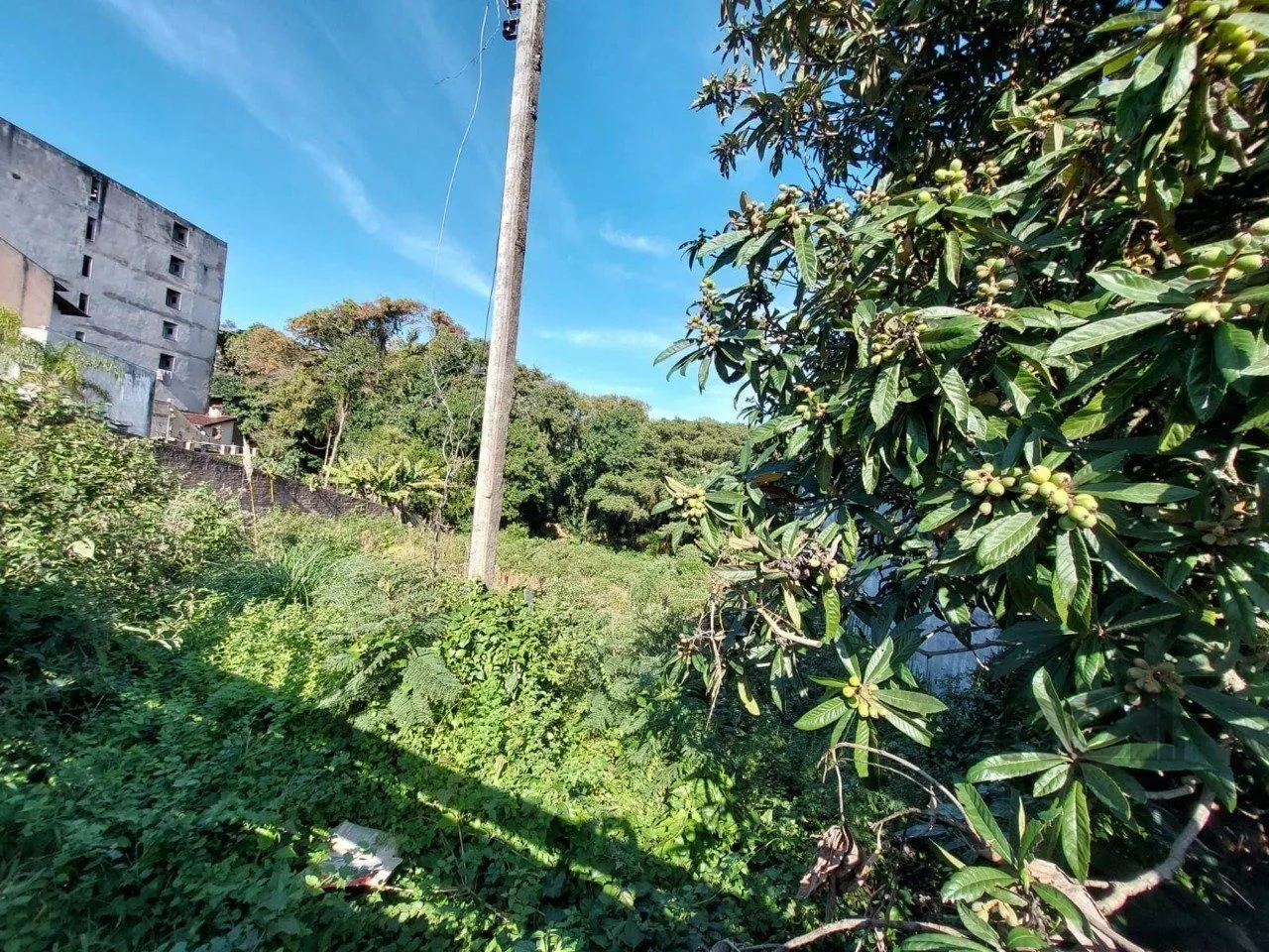 Imagem Terreno em Teresópolis