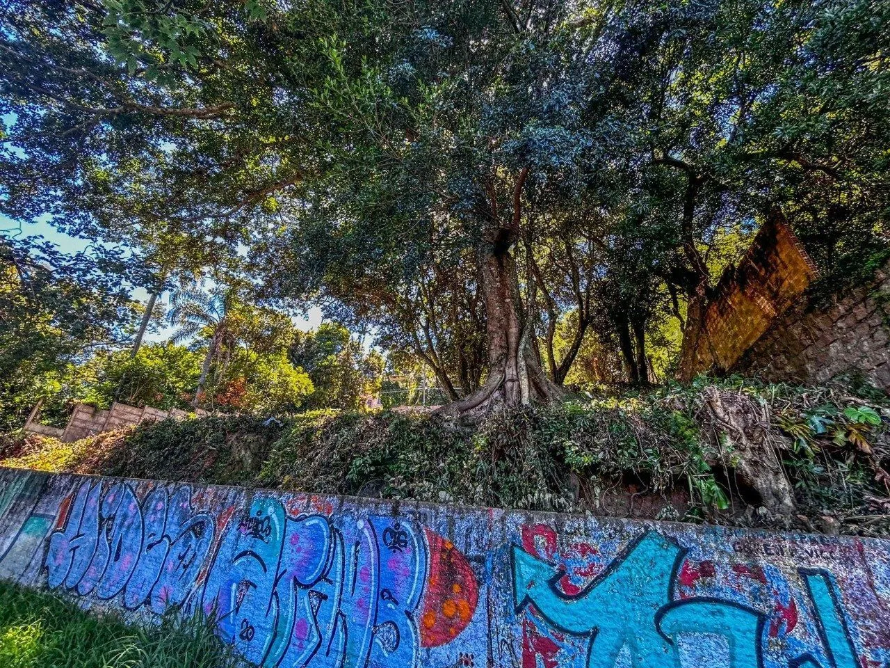 Imagem Terreno em Ipanema