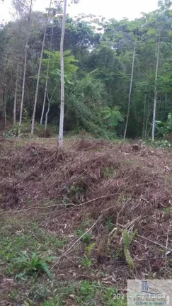 Imagem Rural - Chácara, para Venda em Rio dos Cedros/SC