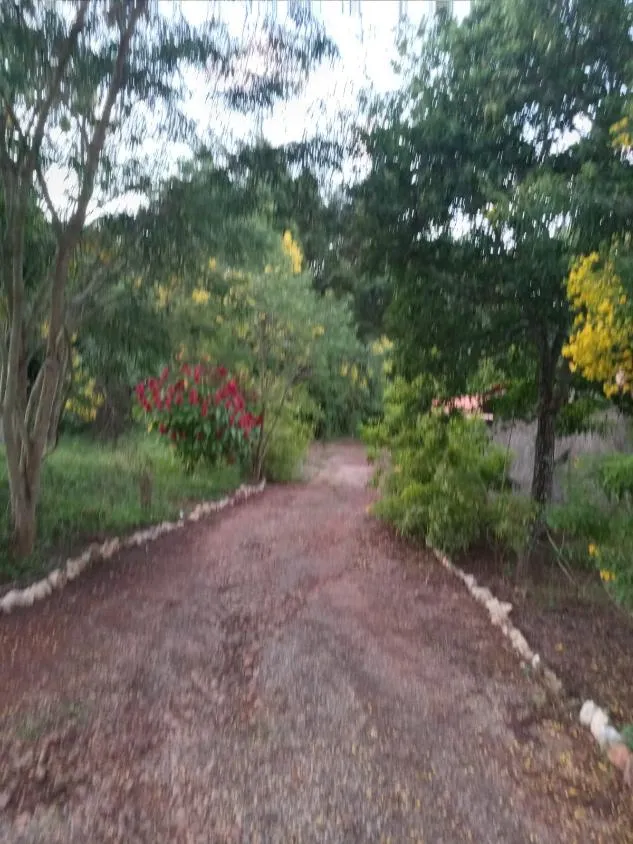Imagem Vendo um ótimo sítio em Jeceaba/MG com 3 hectares de terra (30.000 m²)