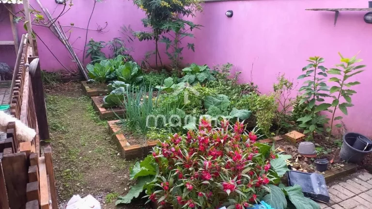 Imagem Casa com 3 quartos, Nossa Senhora da Paz - Balneário Piçarras