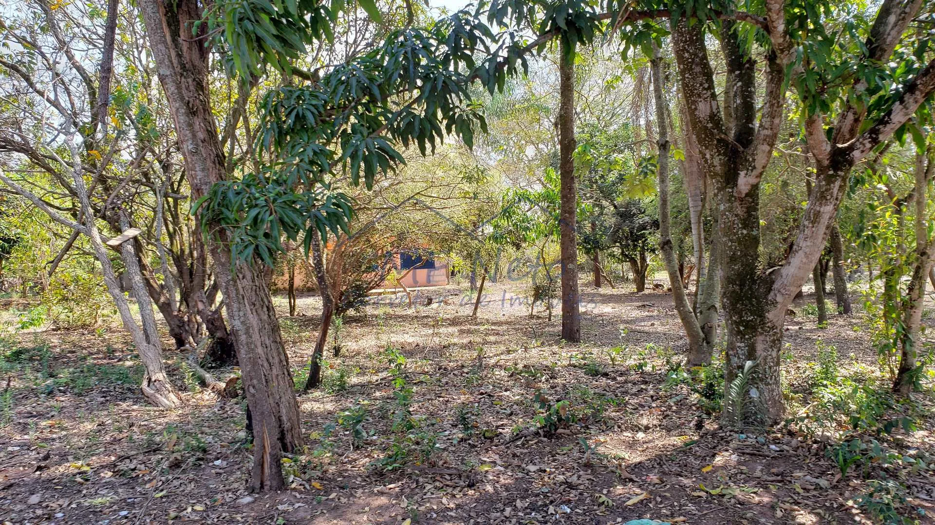 Imagem Terreno Padrão