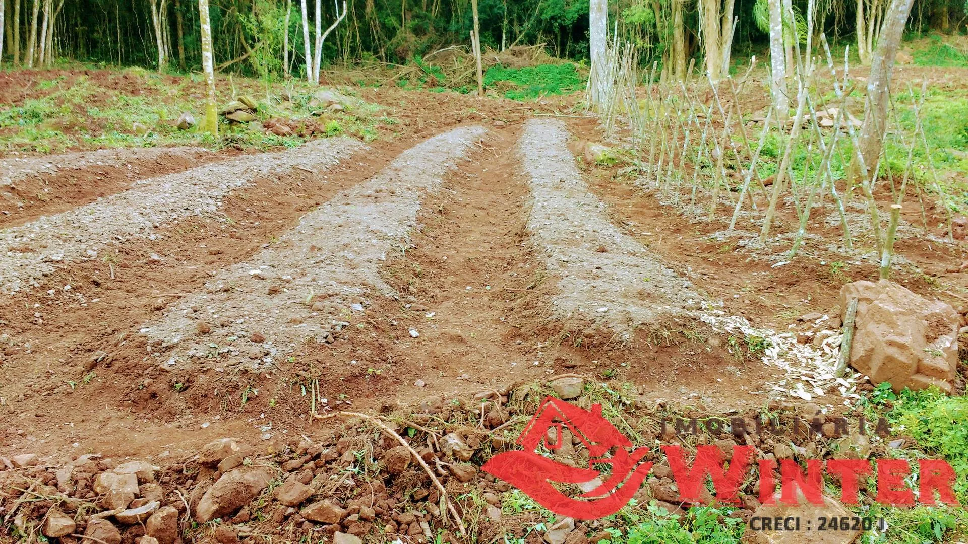 Imagem Área de terras de 35.000,00m² bairro São Roque, Feliz.