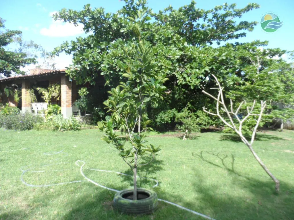 Imagem Chácara com casa de 6 quartos, 3000m2, à venda, Loteamento Santana, em Gravatá.