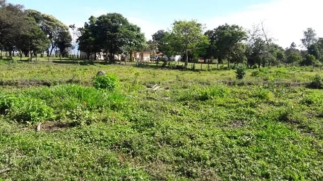 Imagem Chácara à venda 3 Quartos, 1 Suite, 4 Vagas, 8933.77M², Feital, Pindamonhangaba - SP