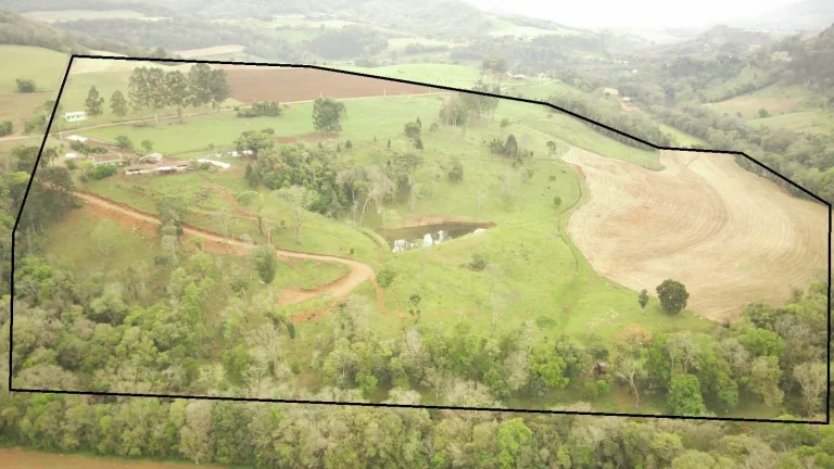 Imagem Área Agrícola para Venda em Concórdia, Rural