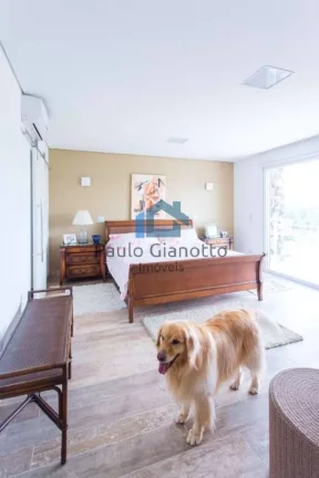 Imagem Imóvel Exclusivo e Arquitetura Moderna no São Paulo II