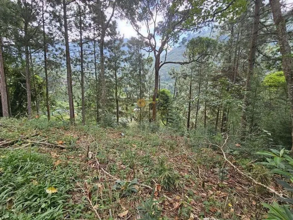 Imagem Terreno para Venda em Teresópolis / RJ no bairro Cascata dos Amores