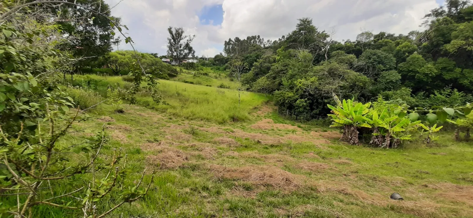 Imagem Chácara à venda em Araçoiaba da Serra - 4 quartos, 1 suíte, 3 banheiros, 3 vagas - Imperdível!