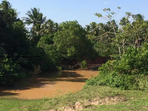 Imagem Granja para Venda em São Gonçalo do Amarante, Jardins, 3 dormitórios, 2 suítes, 4 banheiros, 6 vagas