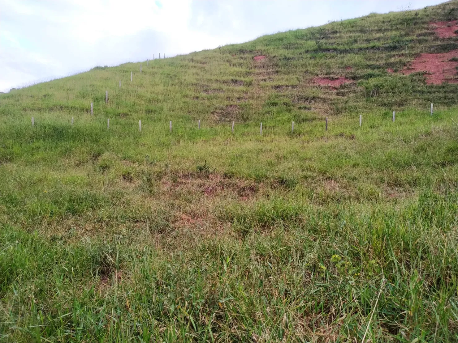 Imagem Chácara à venda 30000M², Zona Rural, Silveiras - SP